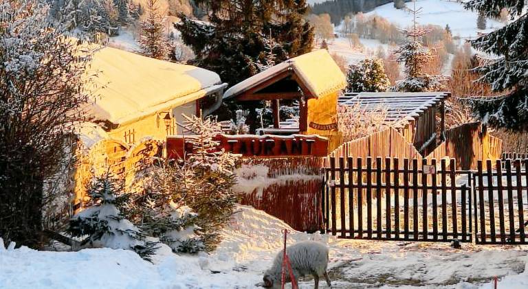 House | Suitable for remote work in Jachymov