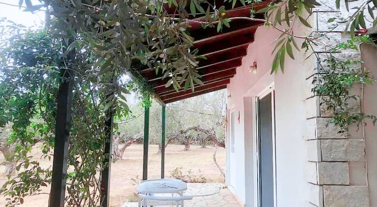 Epicurus beach cottage — photo 2