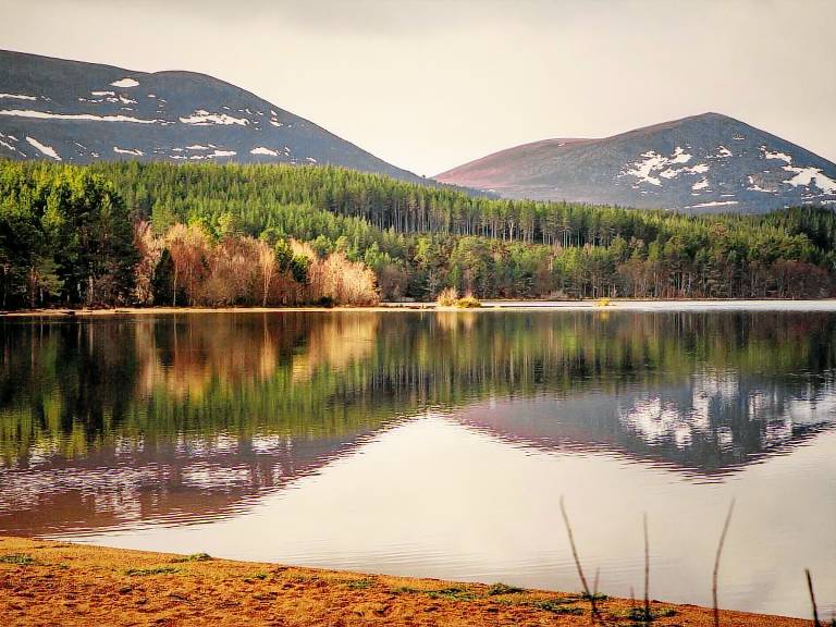 Cottage Newtonmore