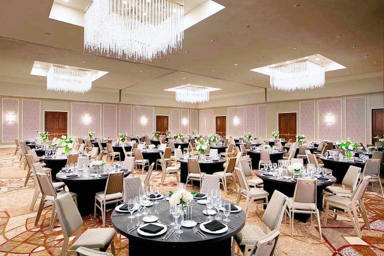 Sheraton McKinney Hotel — photo 4