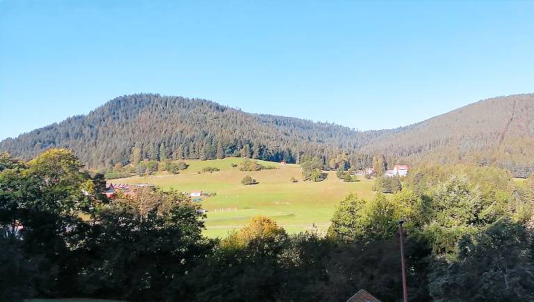 Ferienwohnung Baiersbronn