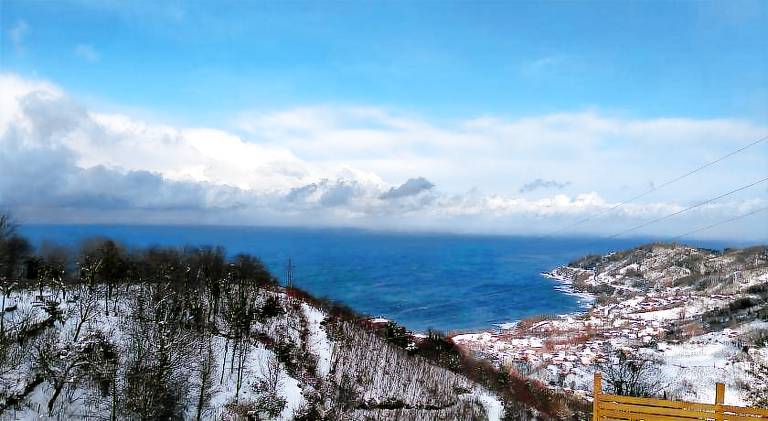 House with yard, terrace & BBQ | Pet-friendly in Ordu