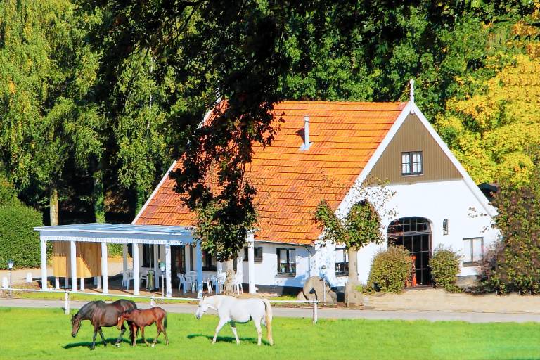 Chalet De Lutte