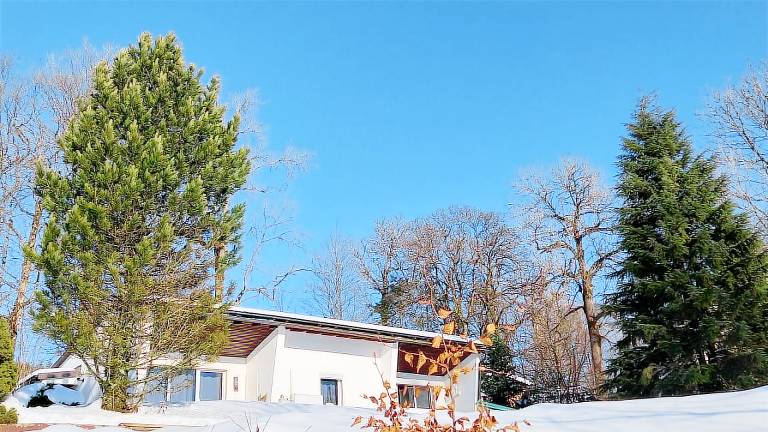 Ferienwohnung Neuastenberg
