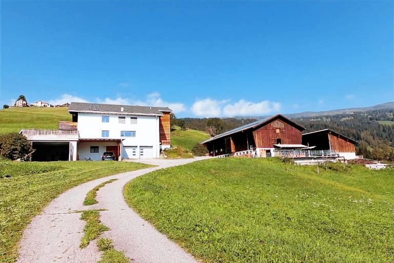 foto4