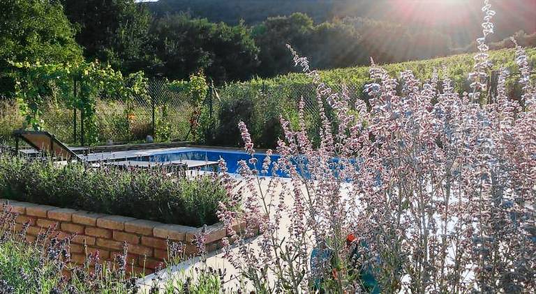 Ferienhaus Gemeinde Poysdorf