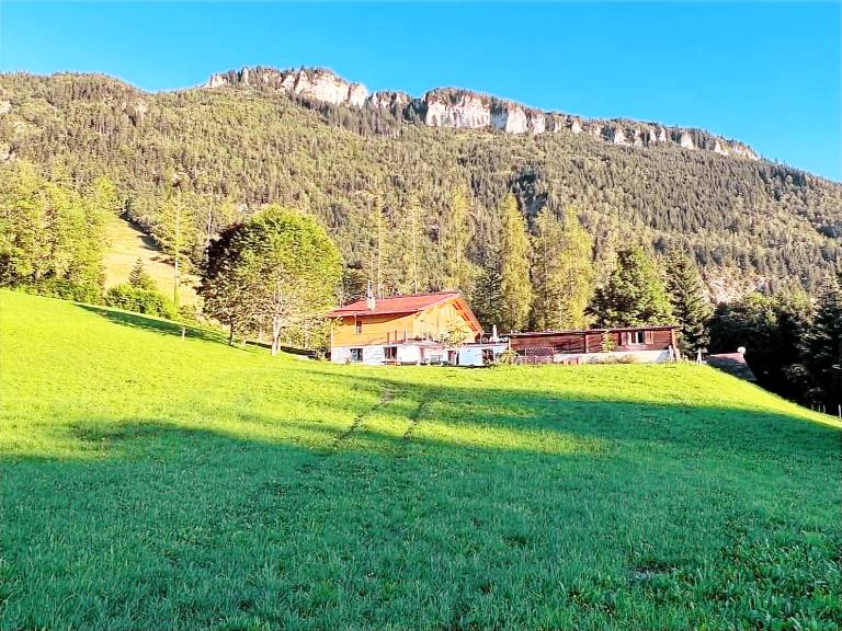 Apartment Dornbirn District