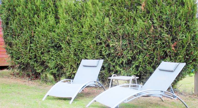 Ferme des champs — photo 3