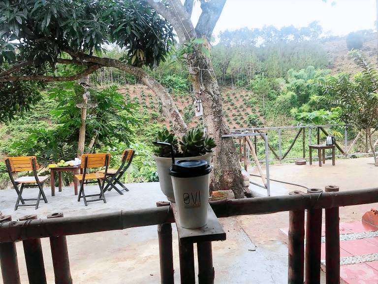 OVi farmstay Đà Lạt — photo 4