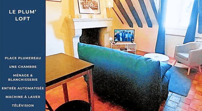 Pleasant rental apartment | Pets allowed in Chinon
