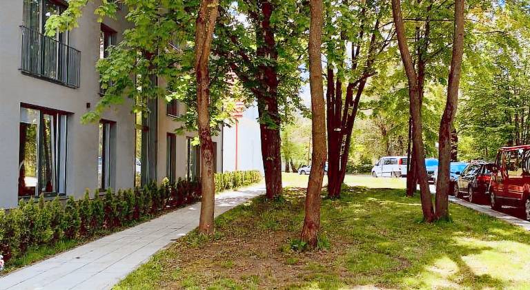 Nice holiday apartment | Pet-friendly — photo 4