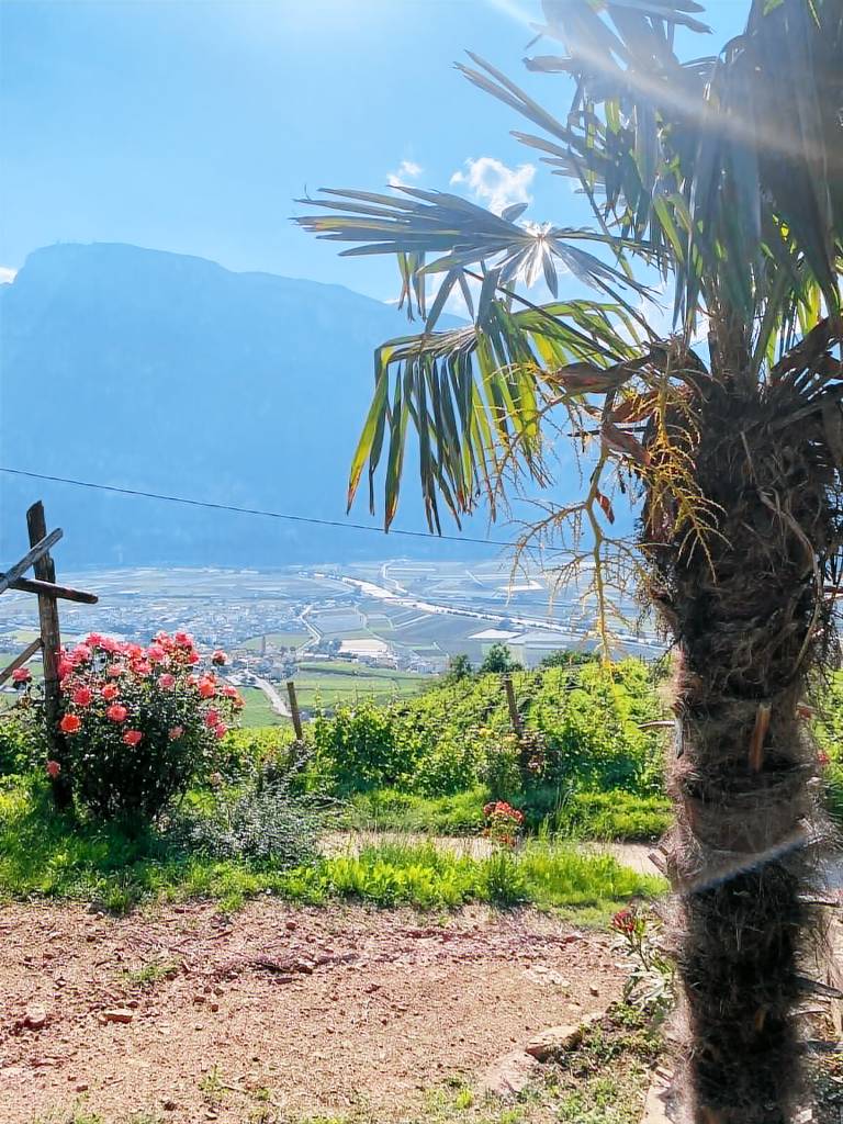 Appartamento San Michele all'Adige