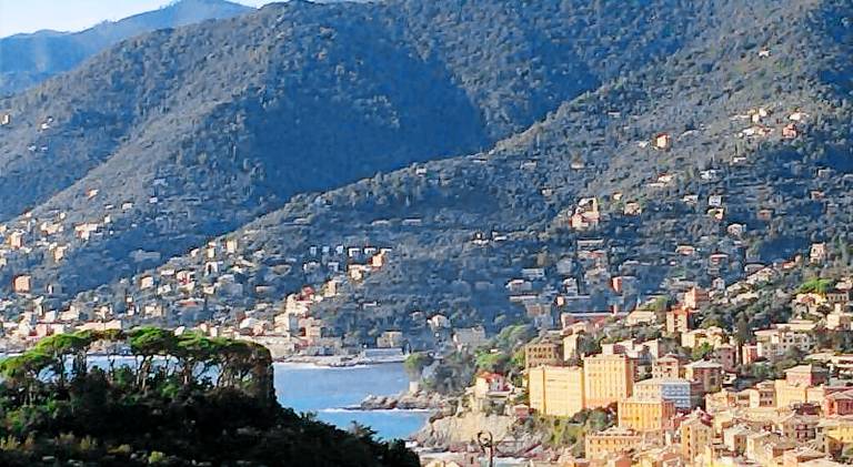 Pleasant apartment | Dogs allowed in Camogli