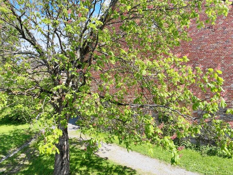 35 m² Ferienwohnung