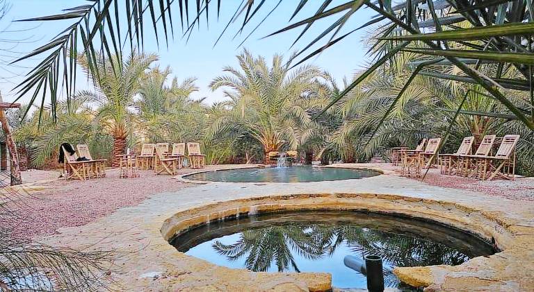 Monica Camp Siwa مونيكا كامب سيوة — photo 3