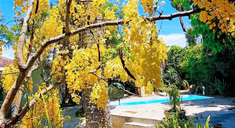 Rental apartment with pool | Pet-friendly in Gravatá