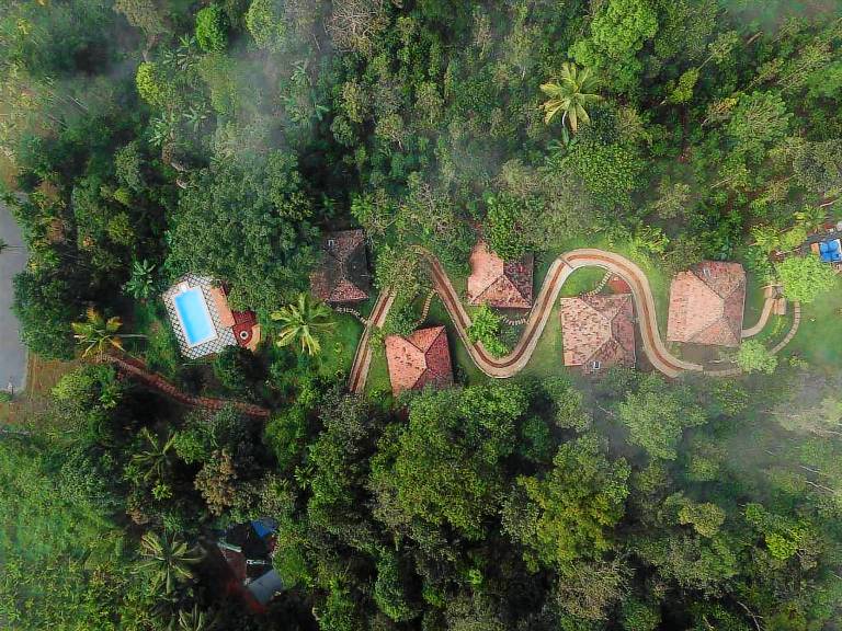 Resort  Wayanad