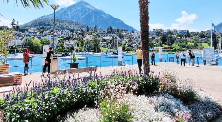 Swiss Lakeside Apartments — photo 4