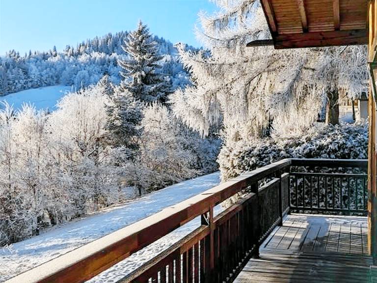 Chalet Domancy