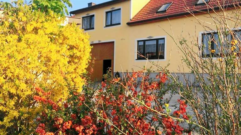 Apartmán Nové Hrady