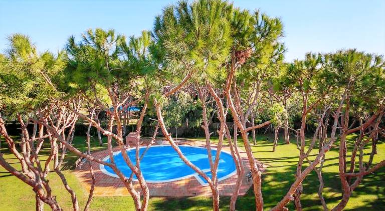 Fully equipped apartment with garden, terrace & pool | Beach nearby | Suitable for remote work | Dogs allowed in Castelldefels