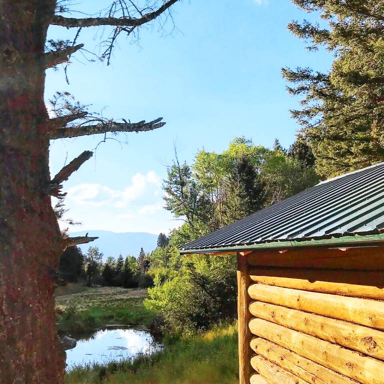 Cabin Emigrant