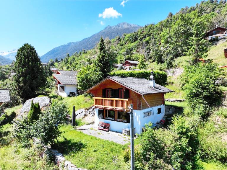 Ferienhaus Nendaz