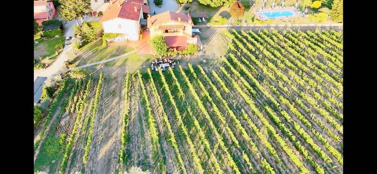 Agriturismo San Jacopo: MALVASIA 7 — photo 3