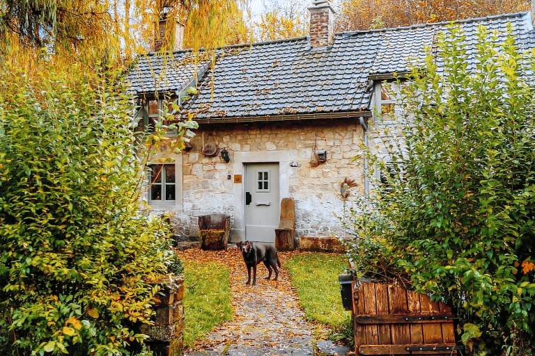 La Petite Forêt 17th Century Secluded Cottage near Durbuy and Ciney — photo 2