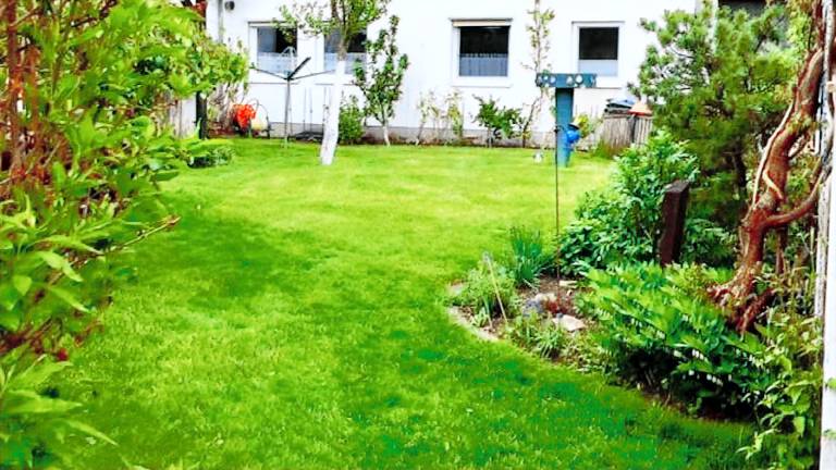 Ferienwohnung Greifswald