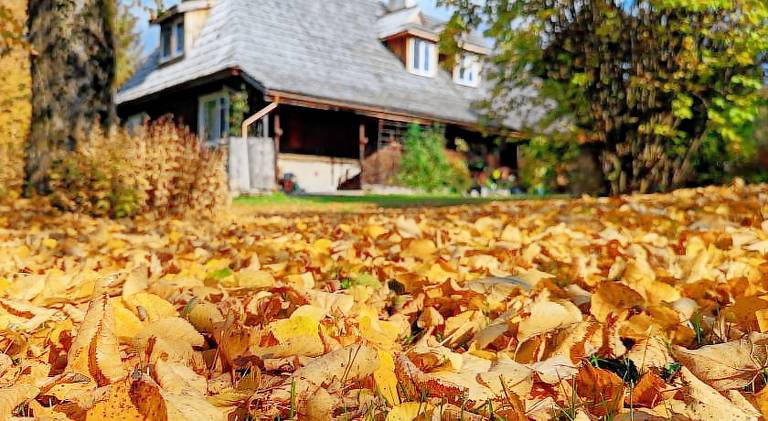 Bed & Breakfast Dwernik