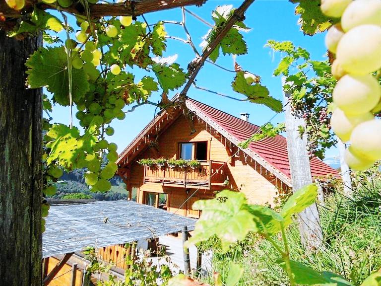 Apartment La Combe-de-Lancey