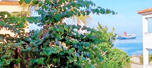 Apartment Agia Marina