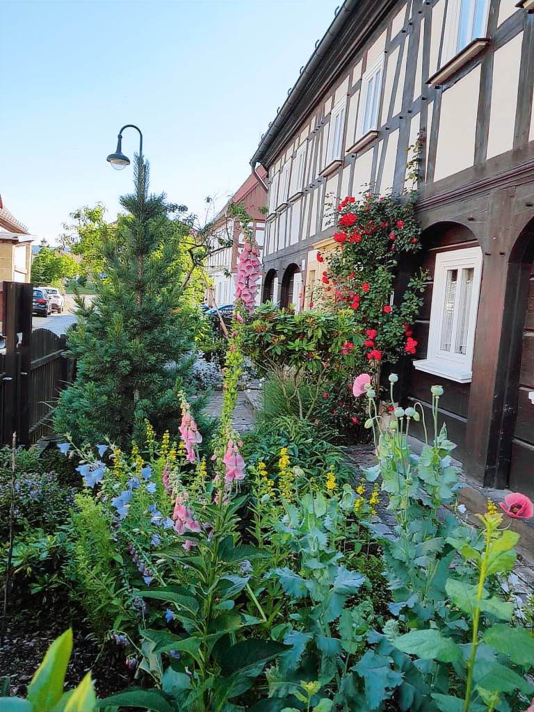 Holiday apartment with garden & barbeque — photo 4