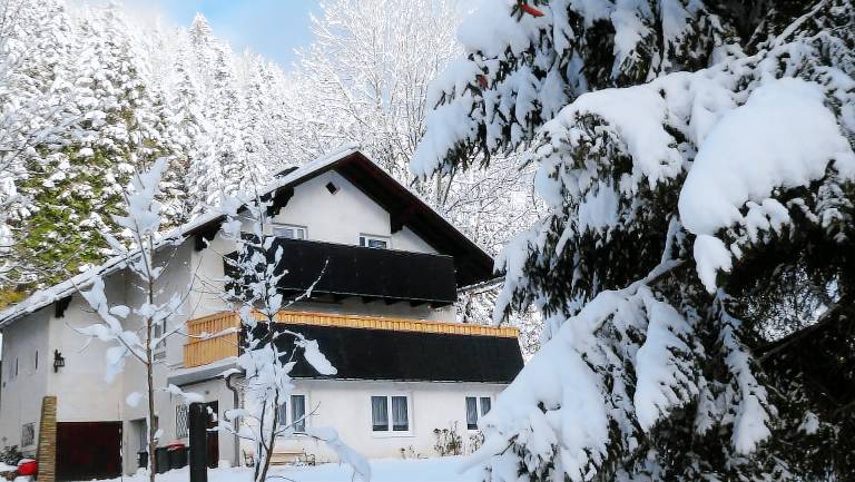 Ferienwohnung  Gemeinde Wildalpen