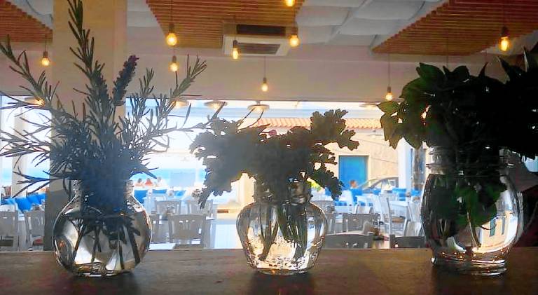 Lovely holiday apartment with yard, terrace & pool | Next to the beach | Good for workation | Pets allowed — photo 5