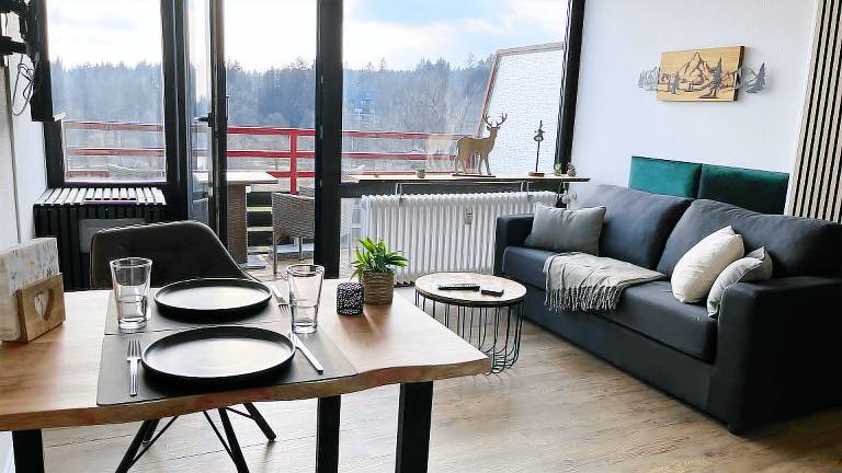 Ferienwohnung  Wildemann
