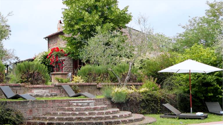 Villa with private pool — photo 3