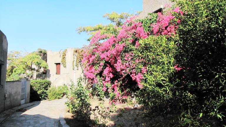Apartment Gytheio
