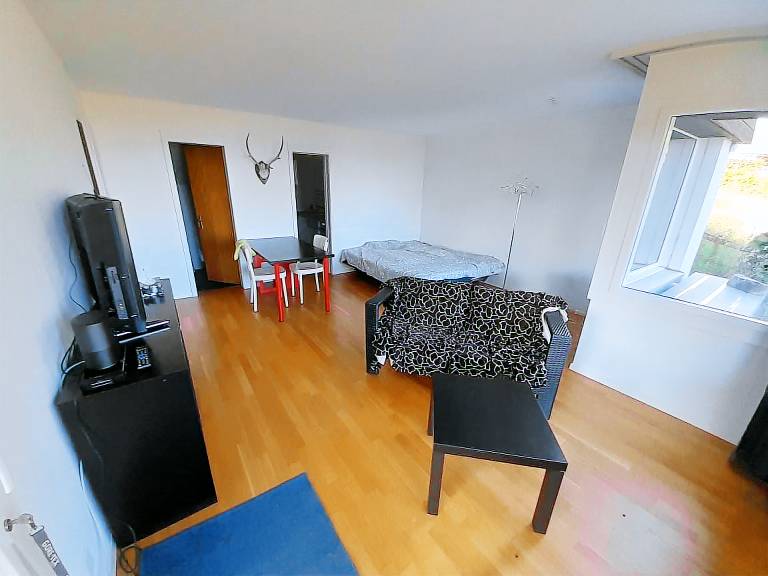 foto3