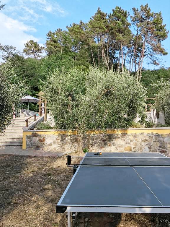 Il Pino: Corbezzolo — photo 3