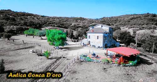 Agriturismo Ogliastro Cilento