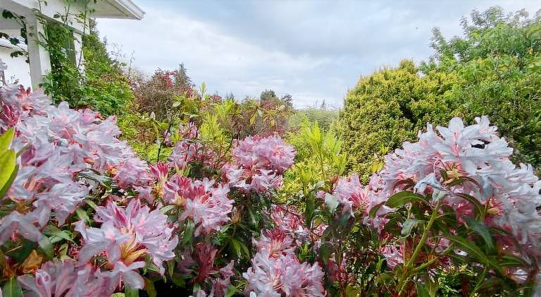 Bed & Breakfast Vancouver