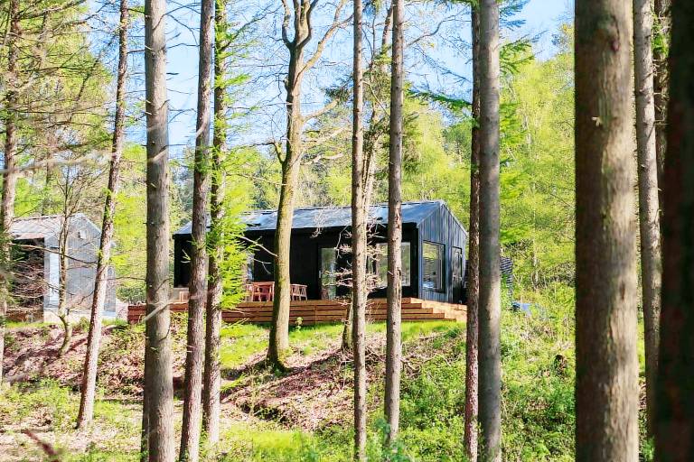 Cabin Wilsum