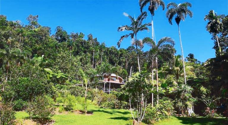 House  Cape Tribulation