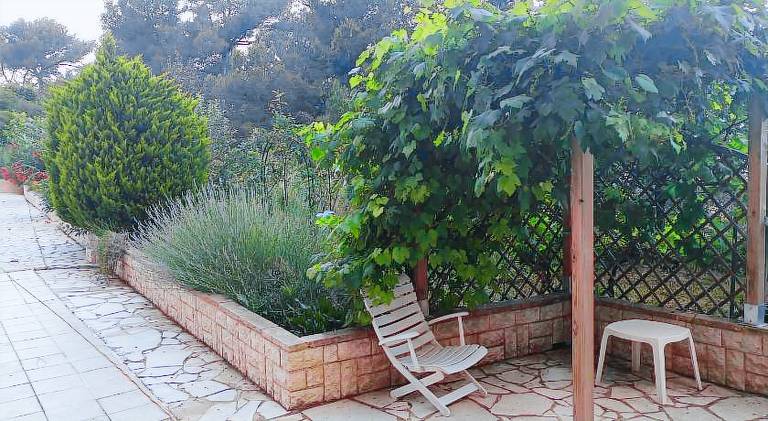 Chalet with pool — photo 5