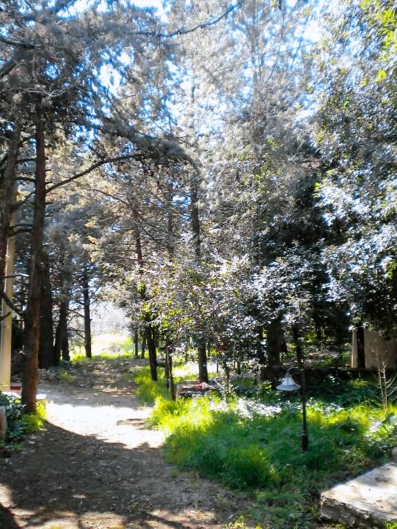 Beautiful chalet with terrace | Pets allowed — photo 4