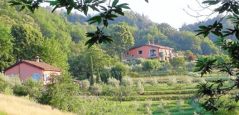 Agriturismo Garfagnana