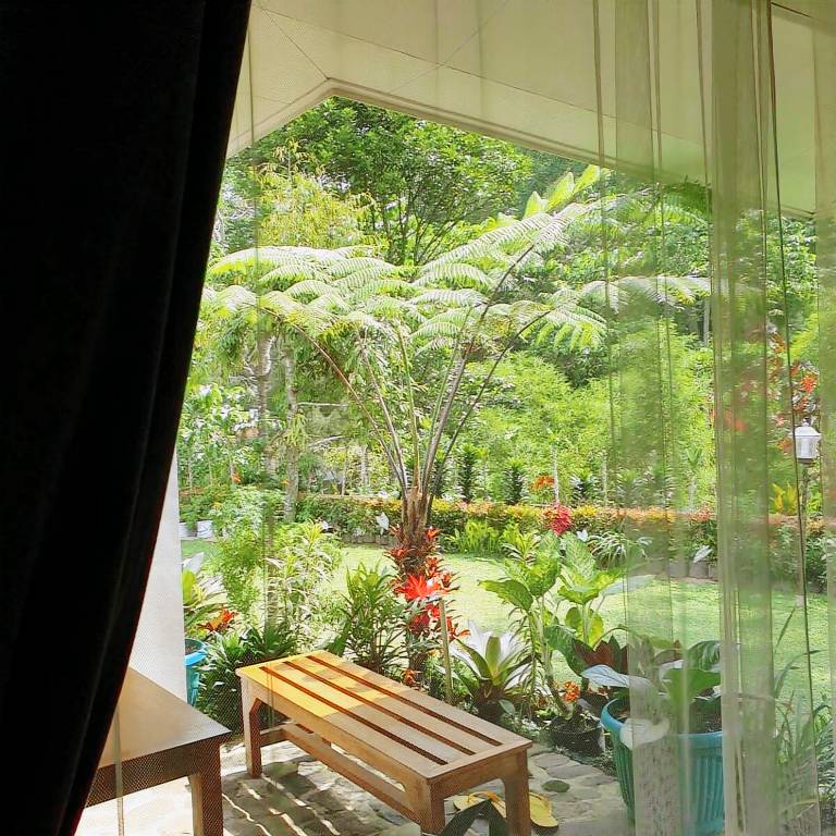 foto2