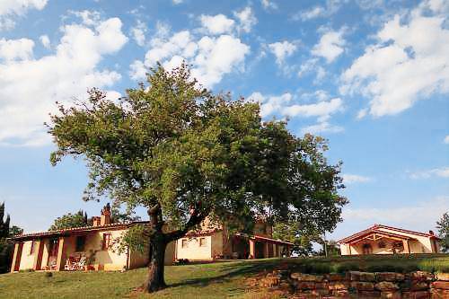 Agriturismo Campagnatico